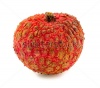 stock-photo-macro-closeup-of-lychee-fruit-isolated-on-white-background-240034918