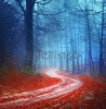 stock-photo-magic-colorful-autumn-forest-road-166015514