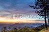 stock-photo-misty-morning-sunrise-in-mountain-at-khao-kho-phetchabun-thailand-250412854