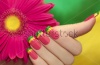 stock-photo-multicolored-manicure-with-pink-yellow-and-green-lacquer-against-the-background-with-gerbera