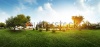 stock-photo-panorama-of-a-green-garden-with-buddhist-building-and-meadow-with-grass-at-early-morning-132927