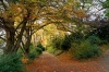 stock-photo-path-in-the-autumn-park-autumn-landscape-109507925