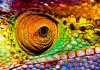 stock-photo-photo-of-colorful-reptilian-eye-closeup-head-part-of-chameleon-multicolor-scaly-skin-of-liza