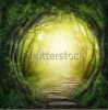stock-photo-road-in-magic-dark-forest-151149986