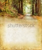 stock-photo-road-through-a-redwood-forest-on-a-grunge-background-plenty-of-copy-space-for-your-t