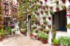 stock-photo-spring-flowers-decoration-of-old-house-patio-cordoba-spain-europe-179691584