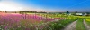 stock-photo-summer-rural-landscape-panorama-with-a-blossoming-meadow-the-road-and-a-farm-2538618