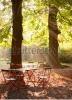 stock-photo-sunbeams-in-the-park-75907579