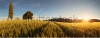 stock-photo-sunset-over-wheat-field-with-path-and-chapel-in-slovakia-panorama-105242789