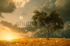 stock-photo-the-unreal-fantastic-land-with-flying-flowers-and-tree-139401629