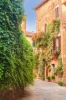 stock-photo-twisted-medieval-streets-with-colorful-flowers-and-green-plants-in-castelmuzio-italy-203639230