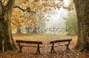 stock-photo-two-benches-in-a-colorful-autumn-wood-120339190