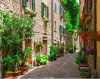 stock-photo-typical-italian-street-in-a-small-provincial-town-of-tuscan-italy-europe-205898743