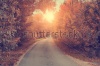 stock-photo-vintage-photo-of-forest-road-164549123