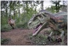 dinozavry_147b