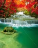 waterfalls_stock-photo-amazing-waterfall-in-colorful-forest-267699857