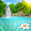 waterfalls_stock-photo-beautiful-lotus-flower-in-waterfall-pool-vietnam-46132399