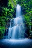 waterfalls_stock-photo-beautiful-lush-waterfall-92389306
