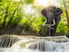 waterfalls_stock-photo-erawan-waterfall-with-an-elefhant-kanchanaburi-thailand-160961483