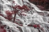 waterfalls_stock-photo-waterfall-in-deep-forest-of-thailand-115097632