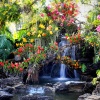 waterfalls_stock-photo-waterfall-in-garden-245065579