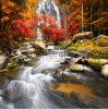 waterfalls_stock-photo-waterfall-in-the-autumn-238980715