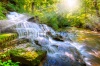 waterfalls_stock-photo-waterfall-in-the-forest-154844960