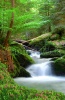 waterfalls_stock-photo-waterfall-in-the-national-park-sumava-czech-republic-132410591