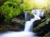 waterfalls_stock-photo-waterfall-in-the-national-park-sumava-czech-republic-275165726